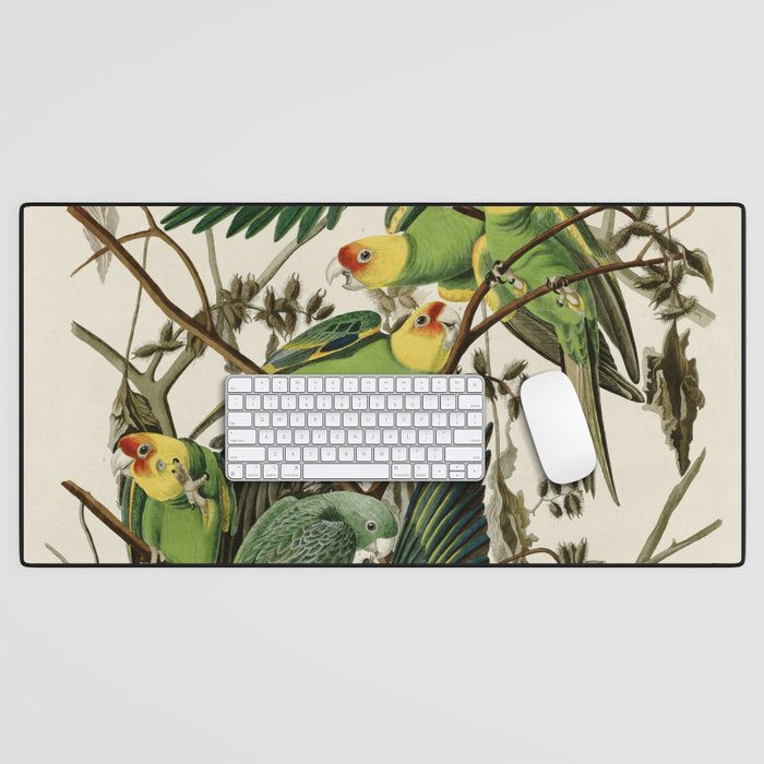 Carolina Parrot - John James Audubon's Birds of America Print Desk Mat Gallery Image 1
