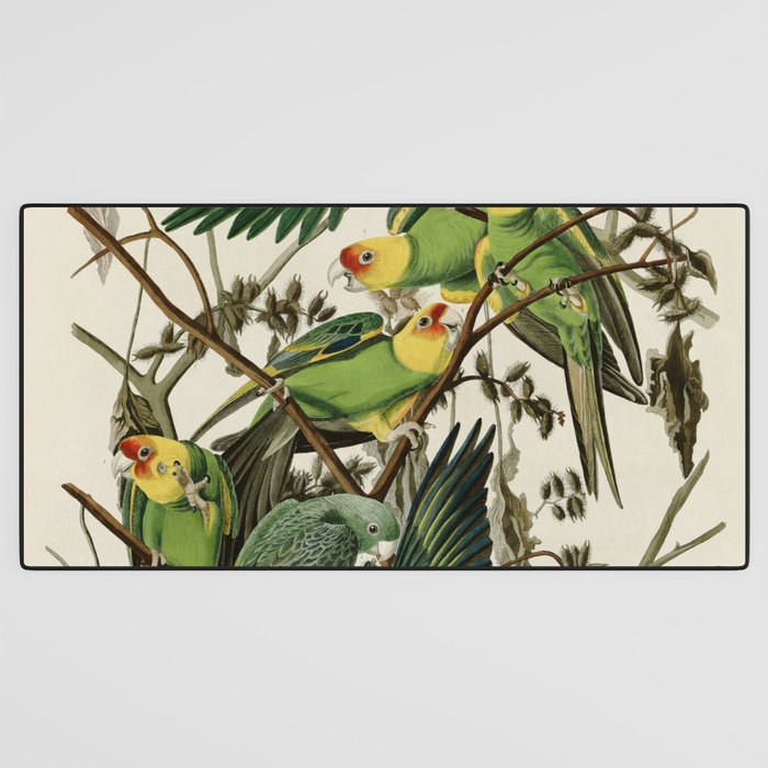 Carolina Parrot - John James Audubon's Birds of America Print Desk Mat Gallery Image 3