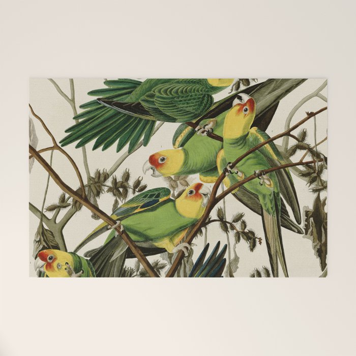 Carolina Parrot - John James Audubon's Birds of America Print Welcome Mat Gallery Image 1