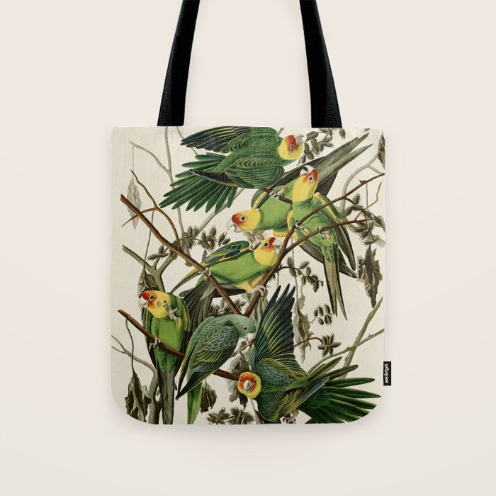 Carolina Parrot - John James Audubon's Birds of America Print Tote Bag Gallery Image 1