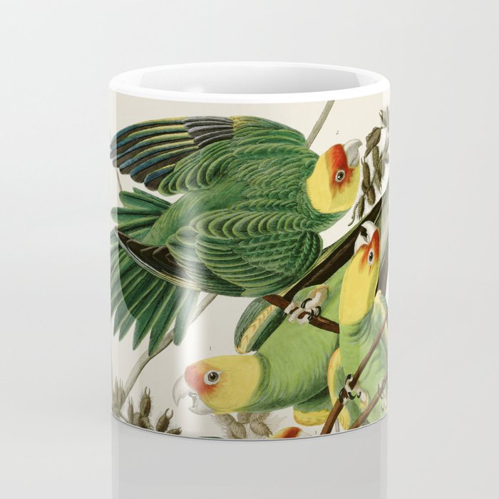 Carolina Parrot - John James Audubon's Birds of America Print Coffee Mug Gallery Image 4