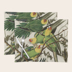 Carolina Parrot - John James Audubon's Birds of America Print Placemat Gallery Image 1