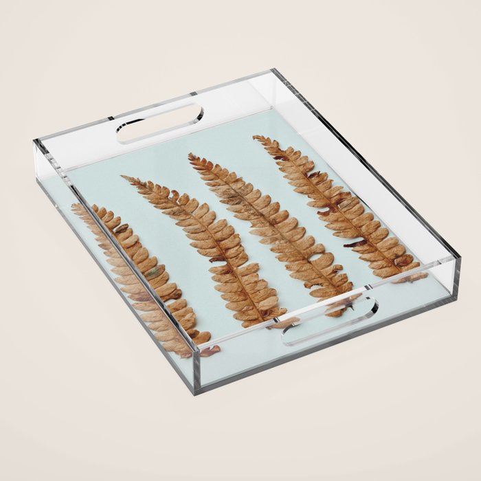Deconstructed Fern x Minimalist botanical leaf autumn photograph Acrylic Tray Gallery Image 1