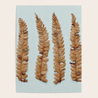 Deconstructed Fern x Minimalist botanical leaf autumn photograph Poster Gallery Image 4
