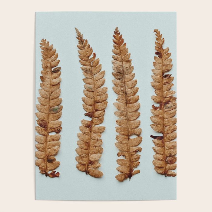 Deconstructed Fern x Minimalist botanical leaf autumn photograph Poster Gallery Image 4
