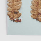 Deconstructed Fern x Minimalist botanical leaf autumn photograph Poster Gallery Image 3