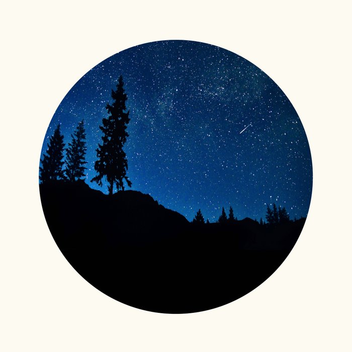 Mid Century Modern Round Circle Photo Blue Star Night Sky Pine Tree Silhouette Coffee Mug Gallery Image 2