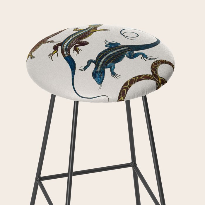 Albertus Seba Snakes And Lizards Blue Stool Gallery Image 2