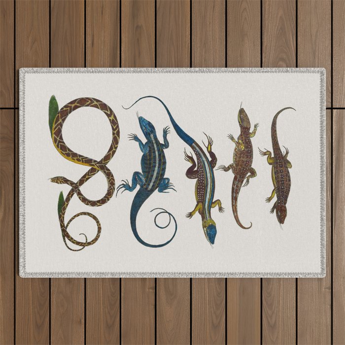 Albertus Seba Snakes And Lizards Blue Outdoor Rug Gallery Image 1