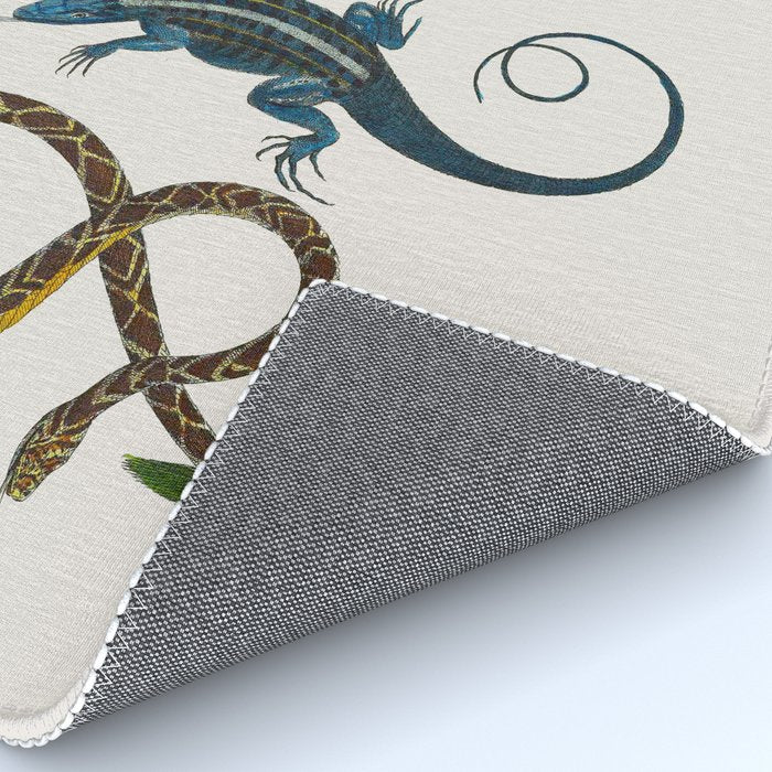 Albertus Seba Snakes And Lizards Blue Rug Gallery Image 4
