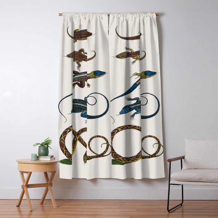 Albertus Seba Snakes And Lizards Blue Window Curtain Gallery Image 5