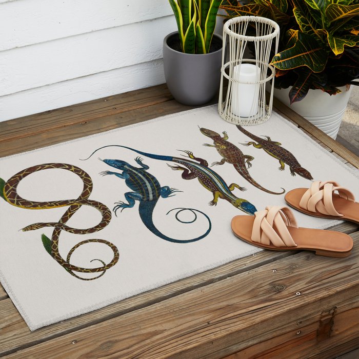 Albertus Seba Snakes And Lizards Blue Outdoor Rug Gallery Image 2