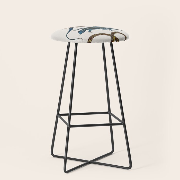 Albertus Seba Snakes And Lizards Blue Stool Gallery Image 1