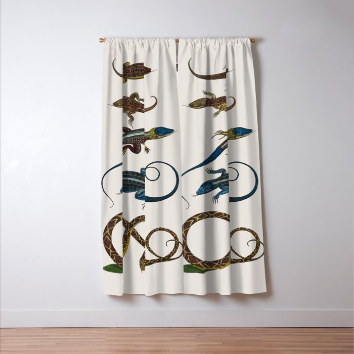 Albertus Seba Snakes And Lizards Blue Window Curtain Gallery Image 3
