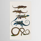 Albertus Seba Snakes And Lizards Blue Tablecloth Gallery Image 2