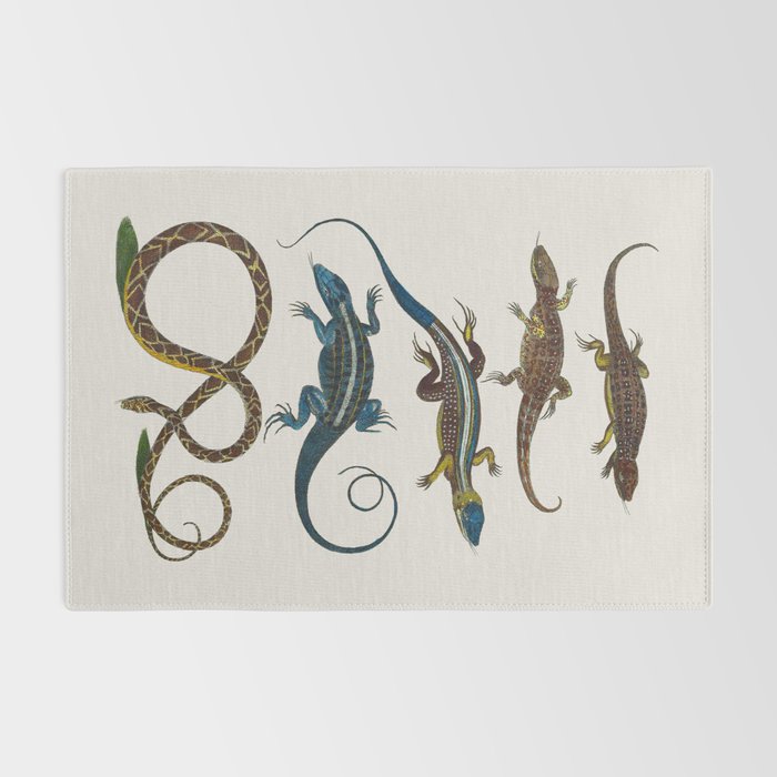 Albertus Seba Snakes And Lizards Blue Rug Gallery Image 2