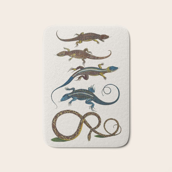 Albertus Seba Snakes And Lizards Blue Bath Mat Gallery Image 1
