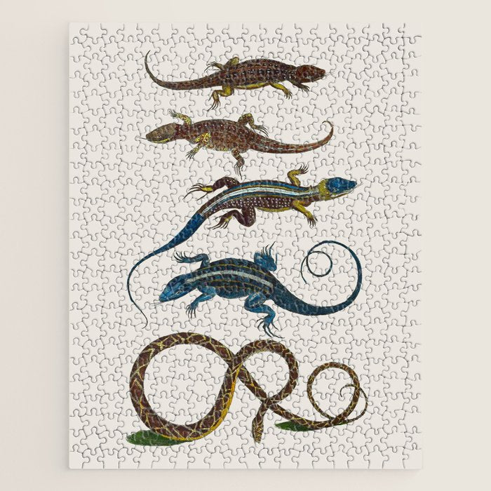 Albertus Seba Snakes And Lizards Blue Jigsaw Puzzle Gallery Image 1