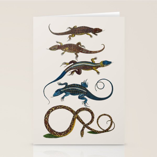 Albertus Seba Snakes And Lizards Blue Stationery Card Gallery Image 1