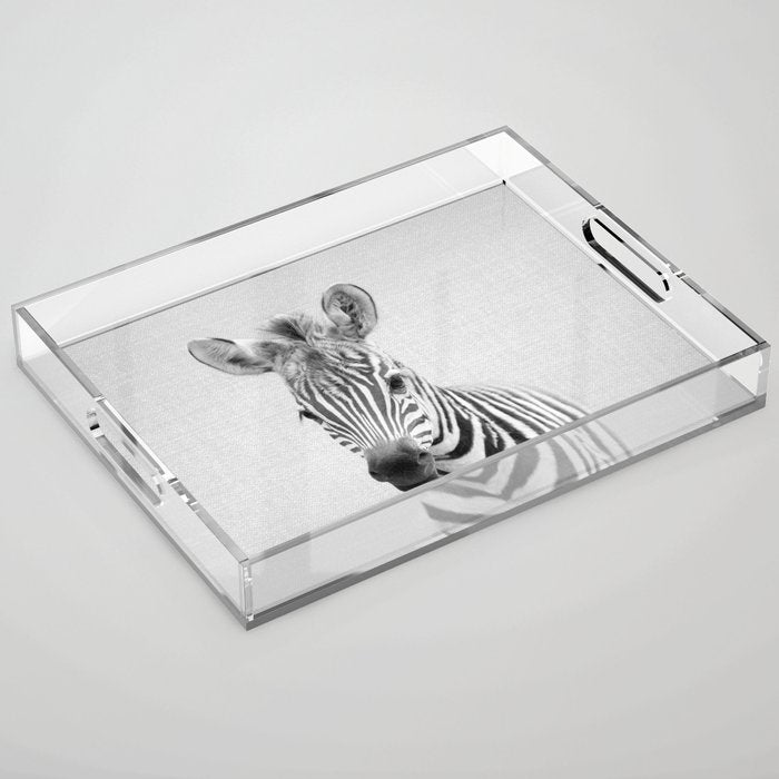 Baby Zebra - Black & White Acrylic Tray Gallery Image 1