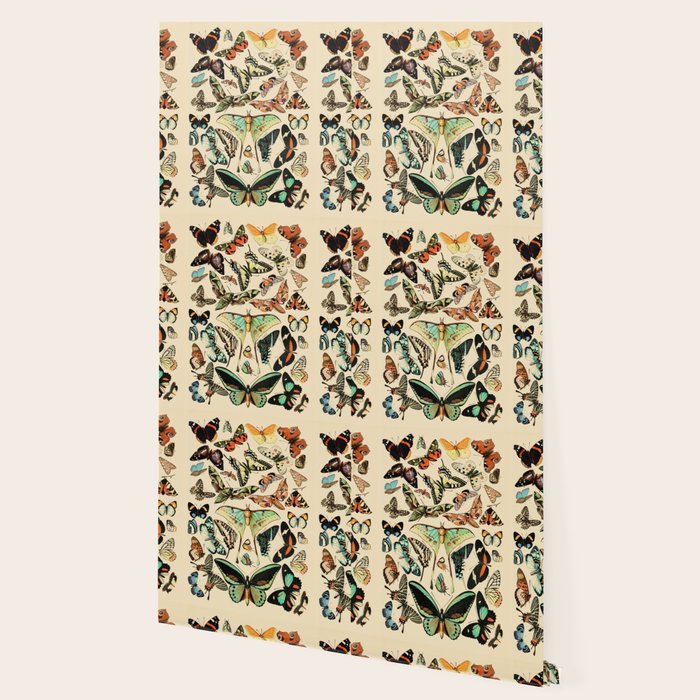 Papillon I Vintage French Butterfly Charts by Adolphe Millot Wallpaper Gallery Image 2