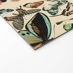 Papillon I Vintage French Butterfly Charts by Adolphe Millot Welcome Mat Gallery Image 2