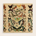 Papillon I Vintage French Butterfly Charts by Adolphe Millot Wood Wall Art Gallery Image 1