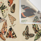 Papillon I Vintage French Butterfly Charts by Adolphe Millot Wall Tapestry Gallery Image 3