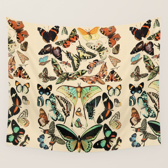 Papillon I Vintage French Butterfly Charts by Adolphe Millot Wall Tapestry Gallery Image 4