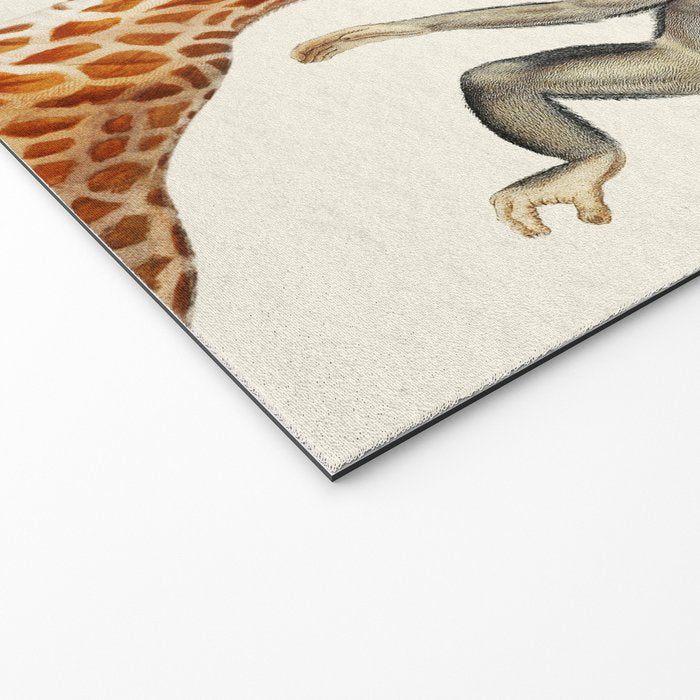Safari Animals Collection Welcome Mat Gallery Image 2