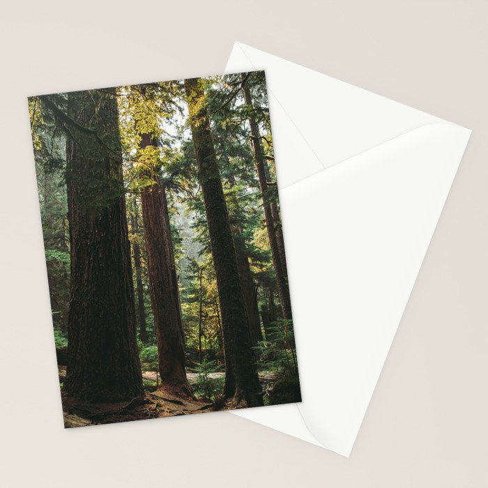 Echoes of the Forest Stationery Card Gallery Image 2