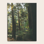 Echoes of the Forest Notebook Gallery Image 4