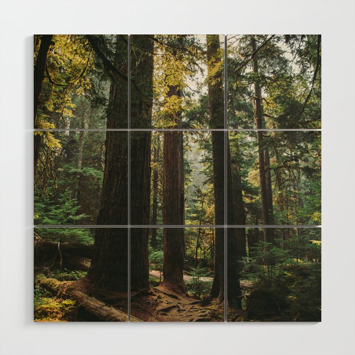 Echoes of the Forest Wood Wall Art Gallery Image 1