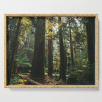 Echoes of the Forest Serving Tray Gallery Image 1