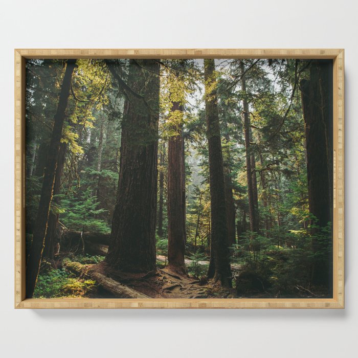 Echoes of the Forest Serving Tray Gallery Image 1