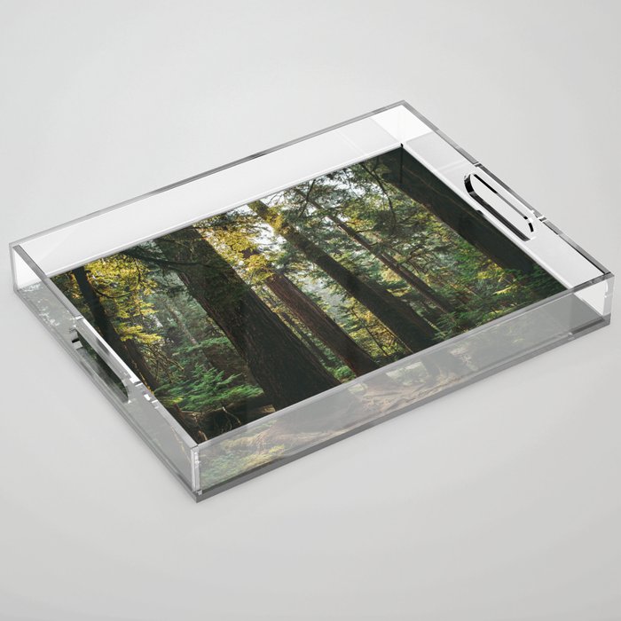 Echoes of the Forest Acrylic Tray Gallery Image 1