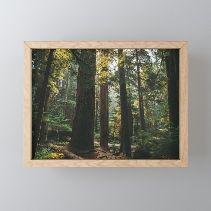 Echoes of the Forest Mini Art Print Gallery Image 1