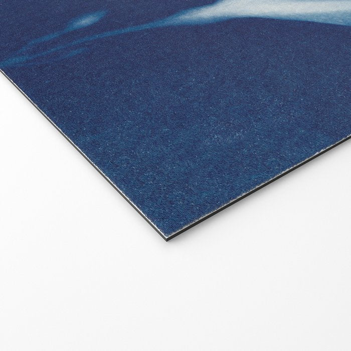 Magic in the Ordinary #3 Welcome Mat Gallery Image 2