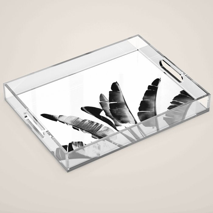 Traveler palm - bw Acrylic Tray Gallery Image 1
