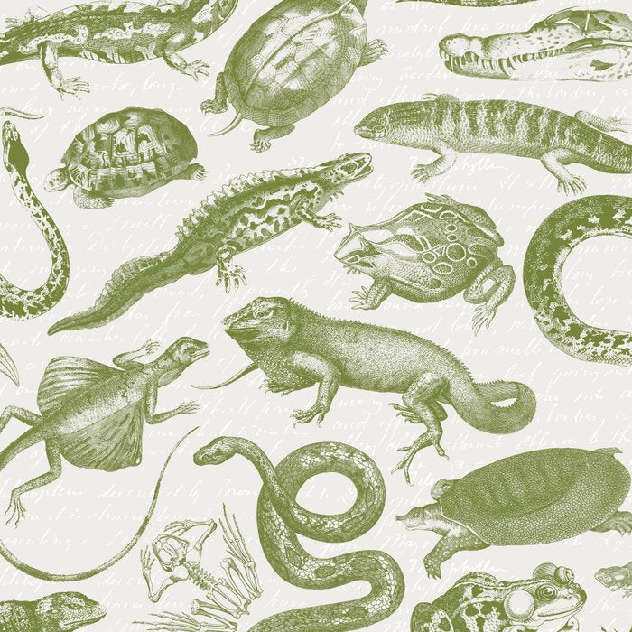 Reptiles and Amphibians Vintage Chic Monochromatic Pattern  Coffee Mug Gallery Image 2