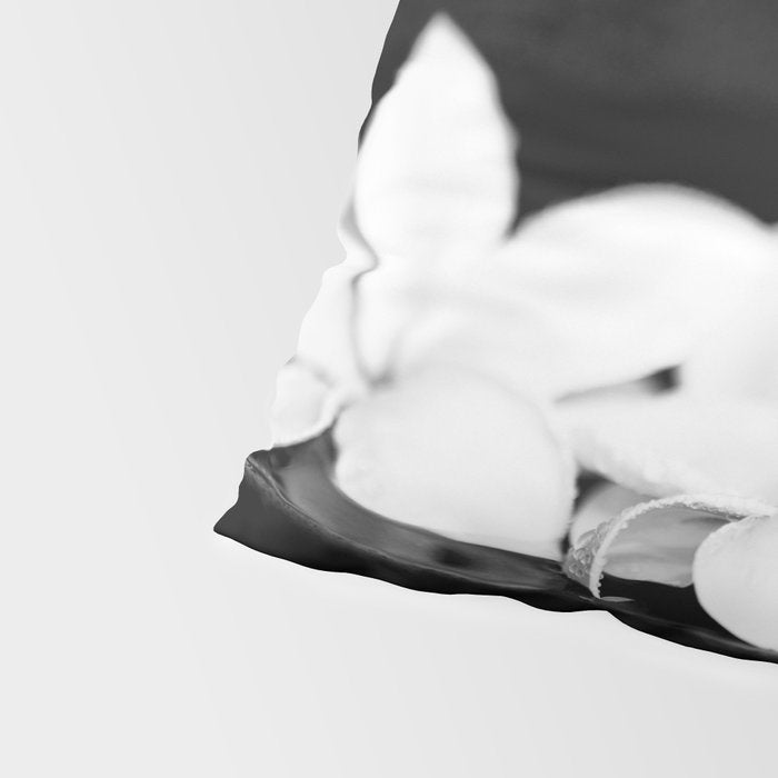 Singapore White Plumeria Flowers the Fragrance of Hawaii Pillow Sham Gallery Image 4