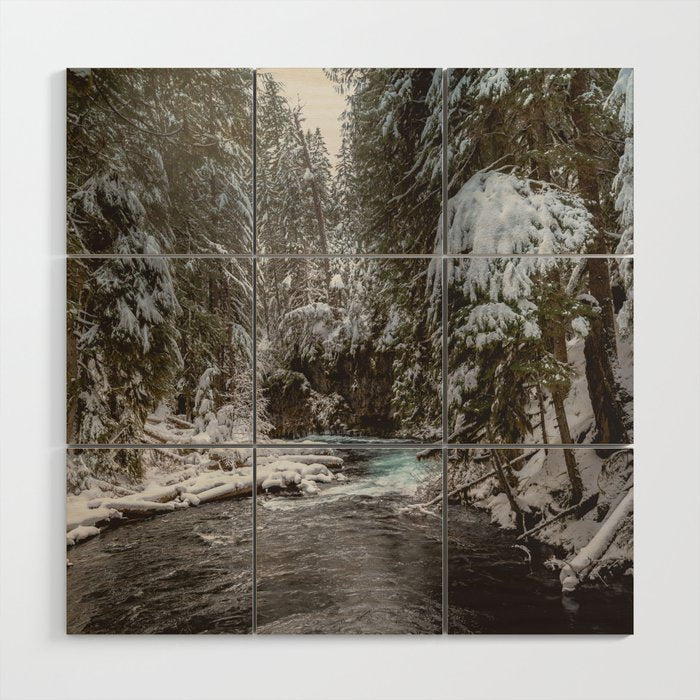 A Quiet Place - Pacific Northwest Nature Photography Wood Wall Art Gallery Image 1