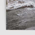 A Quiet Place - Pacific Northwest Nature Photography Poster Gallery Image 3
