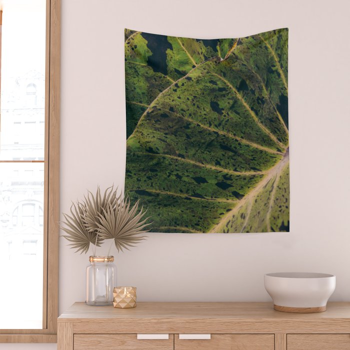 Elephant Ear Photo Study Wall Tapestry Gallery Image 2