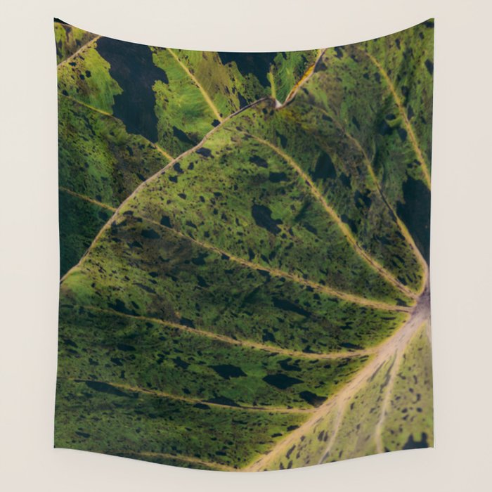 Elephant Ear Photo Study Wall Tapestry Gallery Image 4