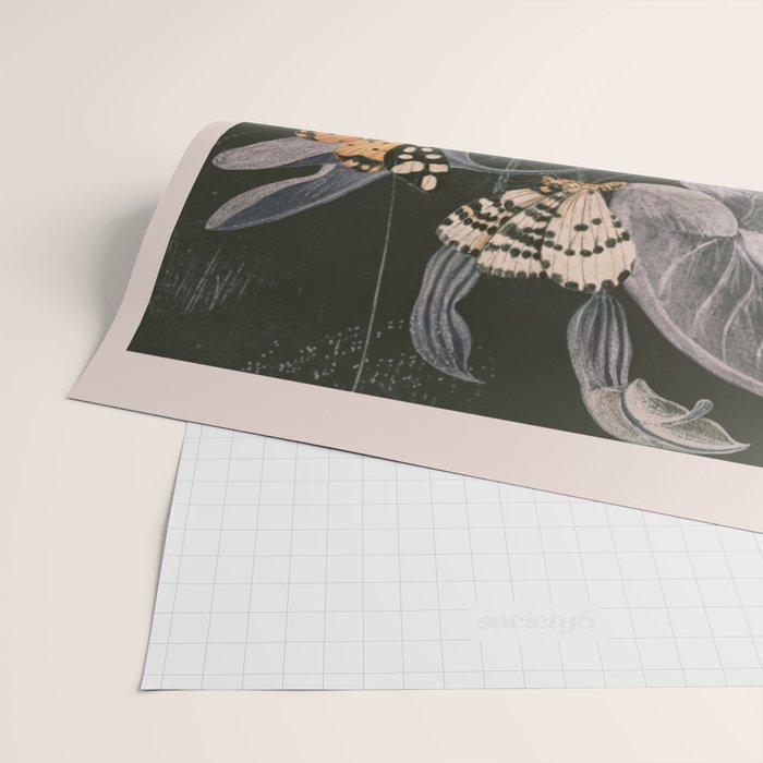 Night Garden 7 Wrapping Paper Gallery Image 2