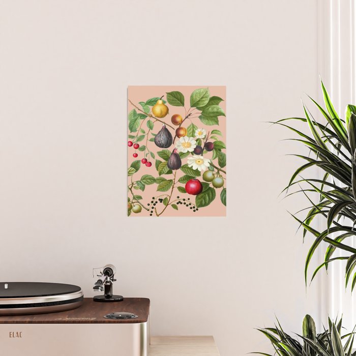 Peach Blossom  Poster Gallery Image 2