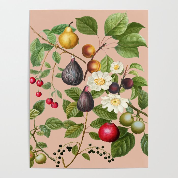 Peach Blossom  Poster Gallery Image 4