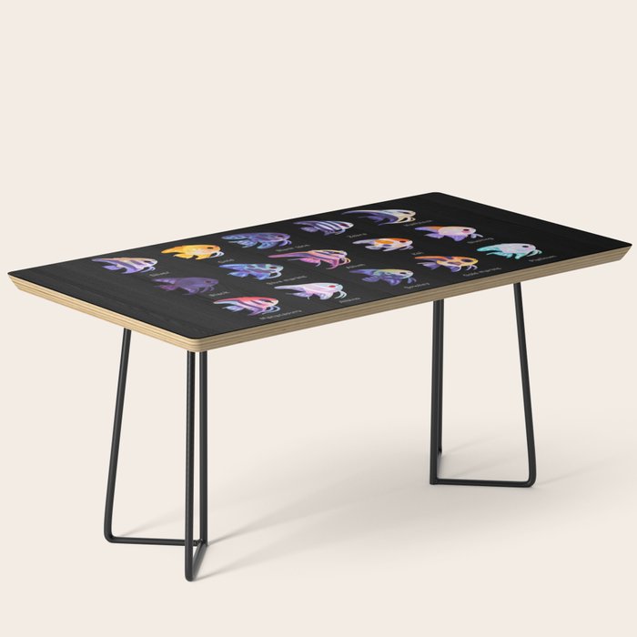 Angelfish! (freshwater) Coffee Table Gallery Image 1