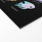 Angelfish! (freshwater) Welcome Mat Gallery Image 2